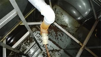 百顺洁清洗服务 专业武汉水箱清洗，守护建筑用水安全